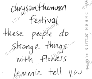 chrysanthemum festival these people do strange things with flowers lemmie tell you 